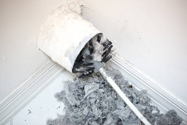 Best Air Duct Cleaning Near Me  in Bay City, OR